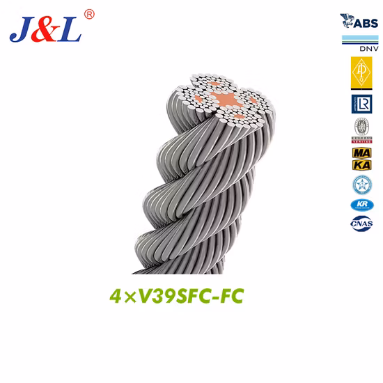 High Quality Hot Rolled ASTM JIS AISI ISO603 Galvanized Carbon Steel Wire Rope for Alloy Tool Steel 1010 1008 Cheap Price Customized